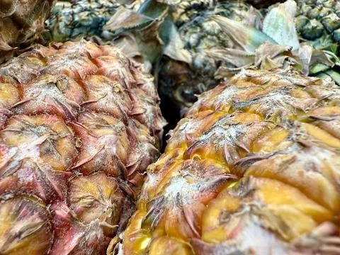 Pineapple with peel in macro Stock Photos