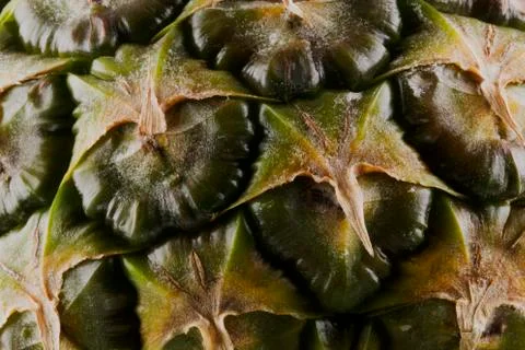 Pineapple peel Stock Photos