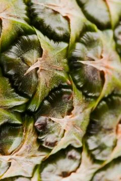 Pineapple peel Stock Photos