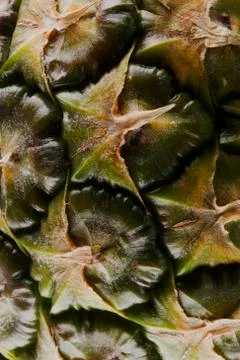 Pineapple peel Stock Photos