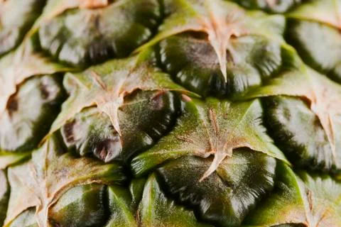 Pineapple peel Stock Photos