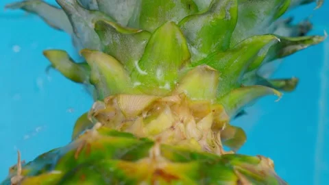 Pineapple peel texture background. Exotic fruit food background Stock Footage 169042628