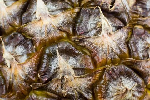 Pineapple peel texture background. Exotic fruit close up photo, macro view... Stock Photos