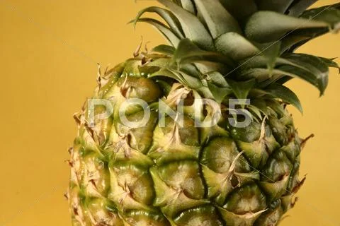 Pineapple Stock Photos