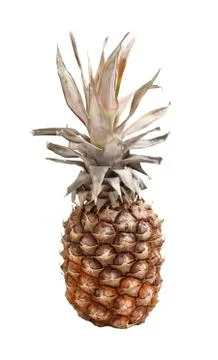 Pineapple Stock-Fotos