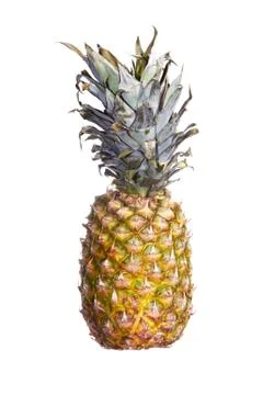 Pineapple Stock Photos