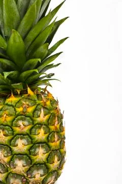 Pineapple Foto stock
