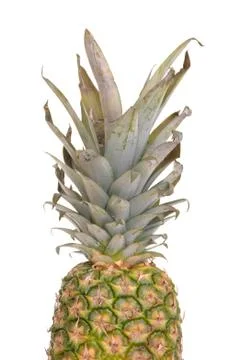 Pineapple Stock Photos