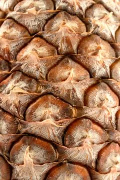 Pineapple Stock Photos