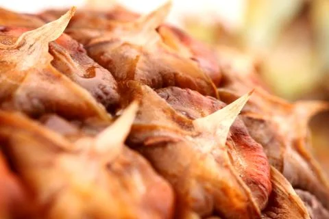 Pineapple Stock Photos