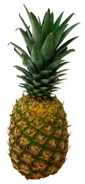 Pineapple Stock Photos
