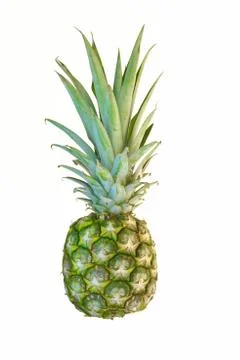 Pineapple Stock Photos