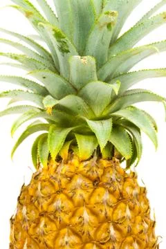 Pineapple Stock Photos