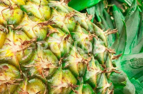 Pineapple Stock Photos
