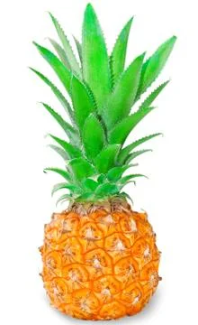 Pineapple Stock Photos