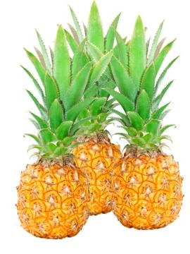Pineapple Stock Photos
