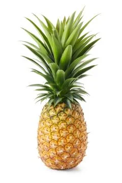 Pineapple Foto stock