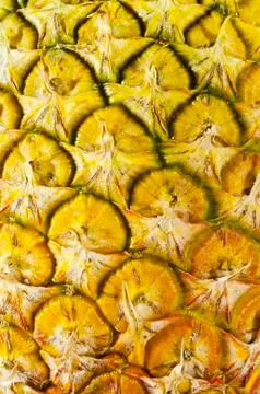 Pineapple Stock-Fotos