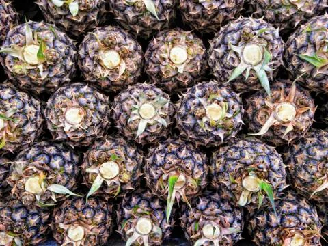 Pineapple Foto stock