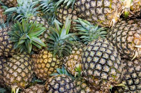 Pineapple Foto stock