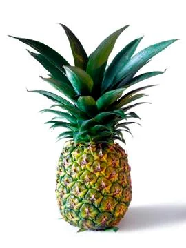 Pineapple Stock Photos