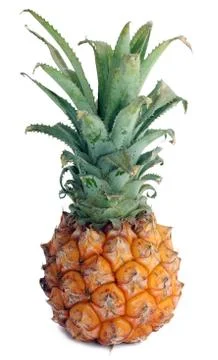 Pineapple Stock Photos