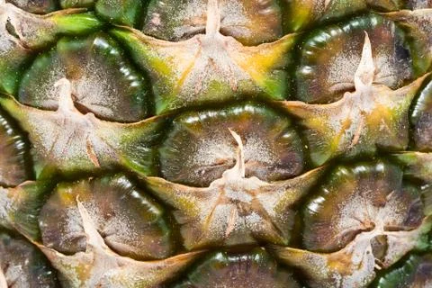 Pineapple Stock Photos