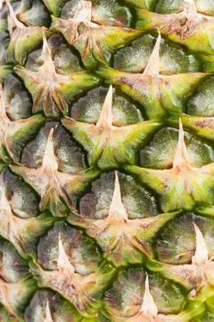 Pineapple Stock Photos