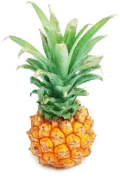 Pineapple Stock Photos