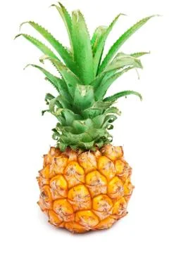 Pineapple Stock Photos