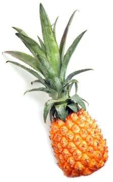 Pineapple Stock Photos