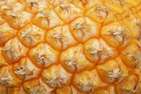 Pineapple Stock Photos