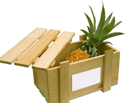 Pineapple Stock Photos