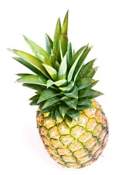 Pineapple Stock Photos