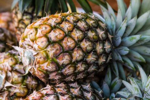 Pineapple Stock Photos