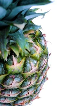 Pineapple Stock Photos