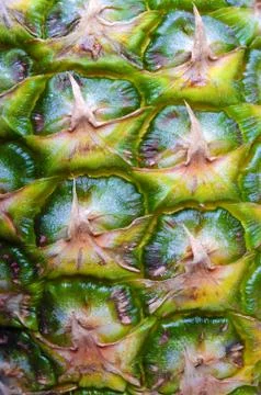 Pineapple Stock Photos