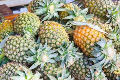 Pineapple Stock Photos