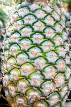 Pineapple Stock Photos