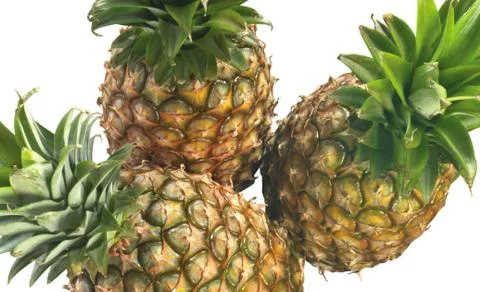 Pineapple Stock Photos