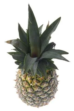Pineapple Stock Photos