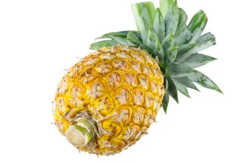 Pineapple Stock Photos