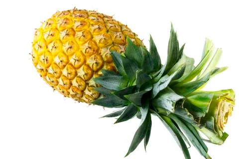Pineapple Stock Photos