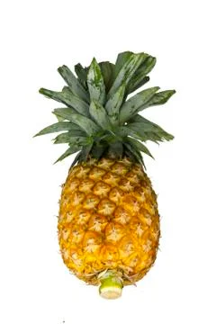 Pineapple Stock Photos