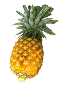 Pineapple Stock Photos