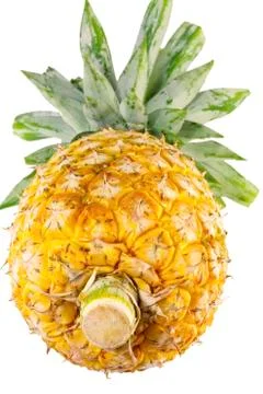 Pineapple Stock Photos