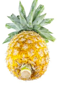 Pineapple Stock Photos