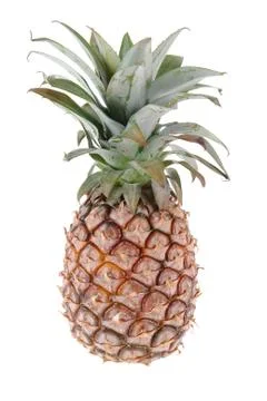 Pineapple Stock Photos