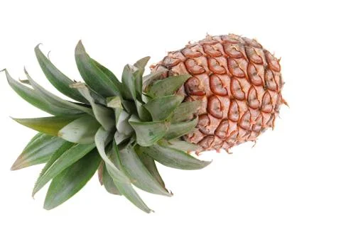 Pineapple Stock Photos