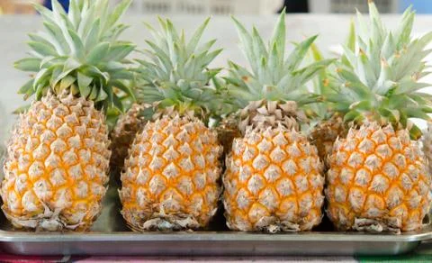 Pineapple Stock Photos